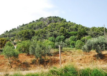 Puig del Castell de Samalús