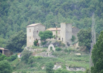 Castell de l'Espunyola
