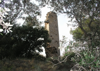 Castell de Montmajor