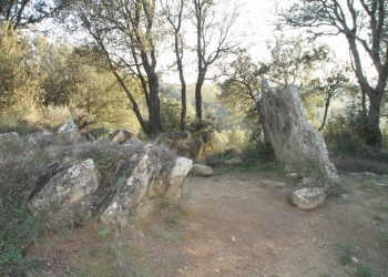 Dolmen de Puigsespedres