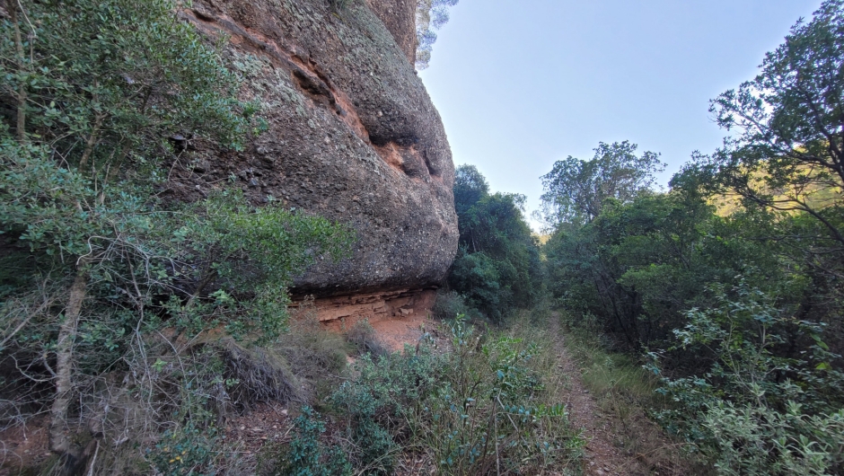 Roca del Gat Mesquer (foto Marc Malgosa Montserrat)