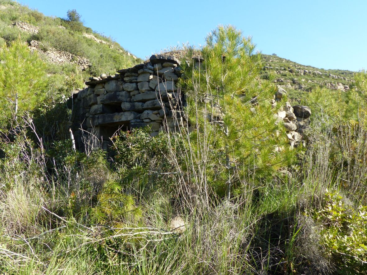 Barraca torrent de l'Avellà. Castellbell i el Vilar | Mapes de Patrimoni Cultural