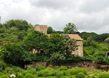 Mas Salvador de Capaspre