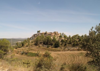 Castell de Castellolí