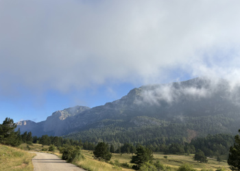 Camí dels Bons Homes