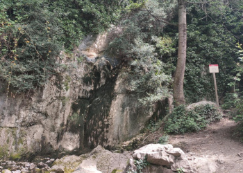 Font del Bullidor o de la Llet