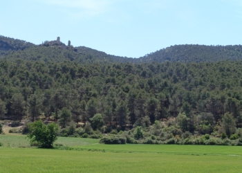 Castell de Vilademàger