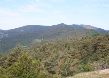 Serra del Catllaràs