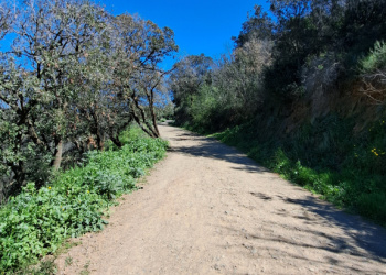 Carrerada de França - Camí de Sant Pere Màrtir a Vallvidrera