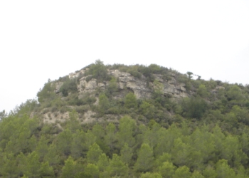 Jaciment ibèric del Puig Castellar