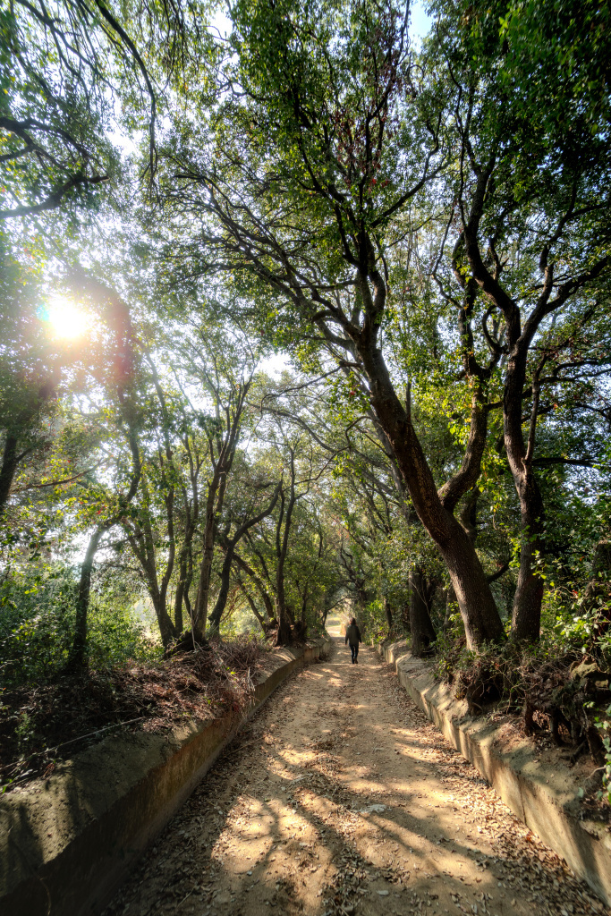 Fotografia: Ajuntament d'Arenys de Mar