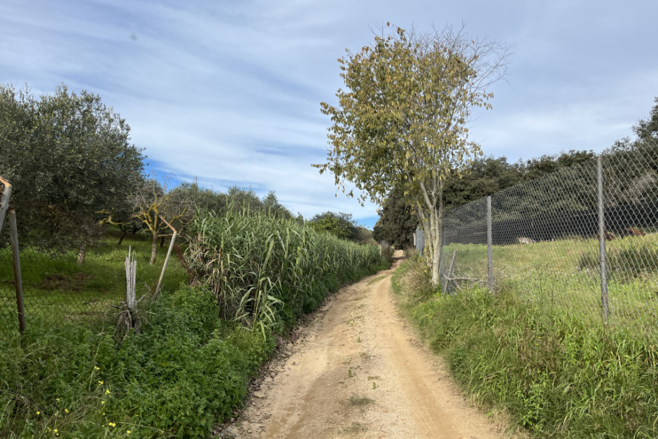 Fotografia: Ajuntament d'Arenys de Mar