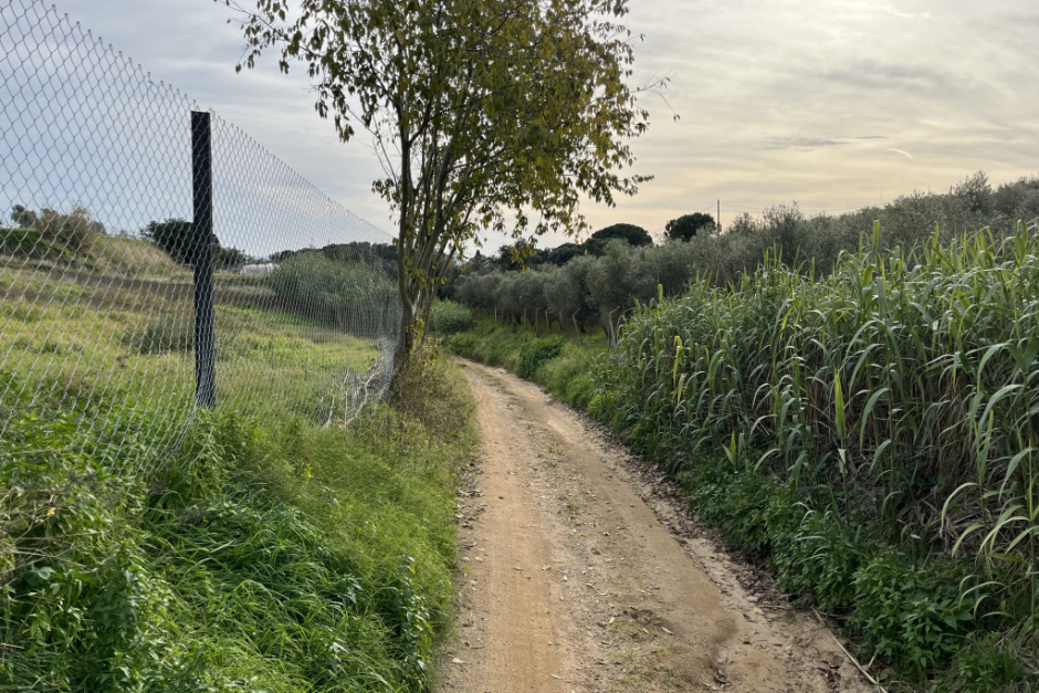 Fotografia: Ajuntament d'Arenys de Mar