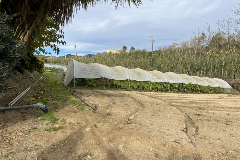 Fotografia: Ajuntament d'Arenys de Mar
