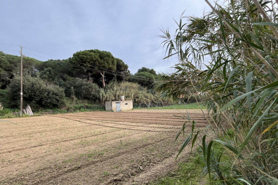 Fotografia: Ajuntament d'Arenys de Mar