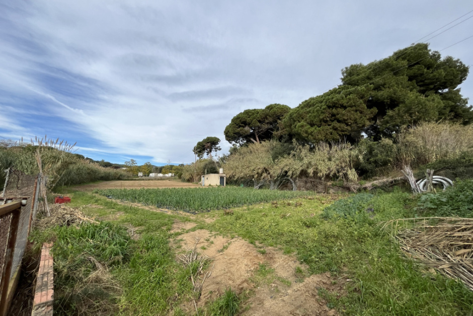 Fotografia: Ajuntament d'Arenys de Mar