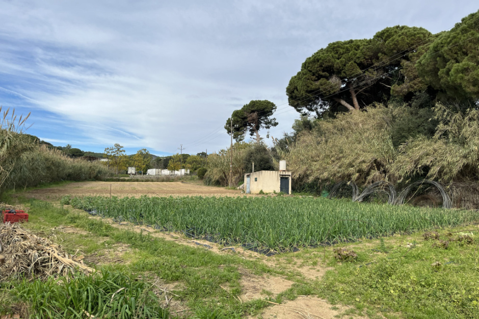 Fotografia: Ajuntament d'Arenys de Mar
