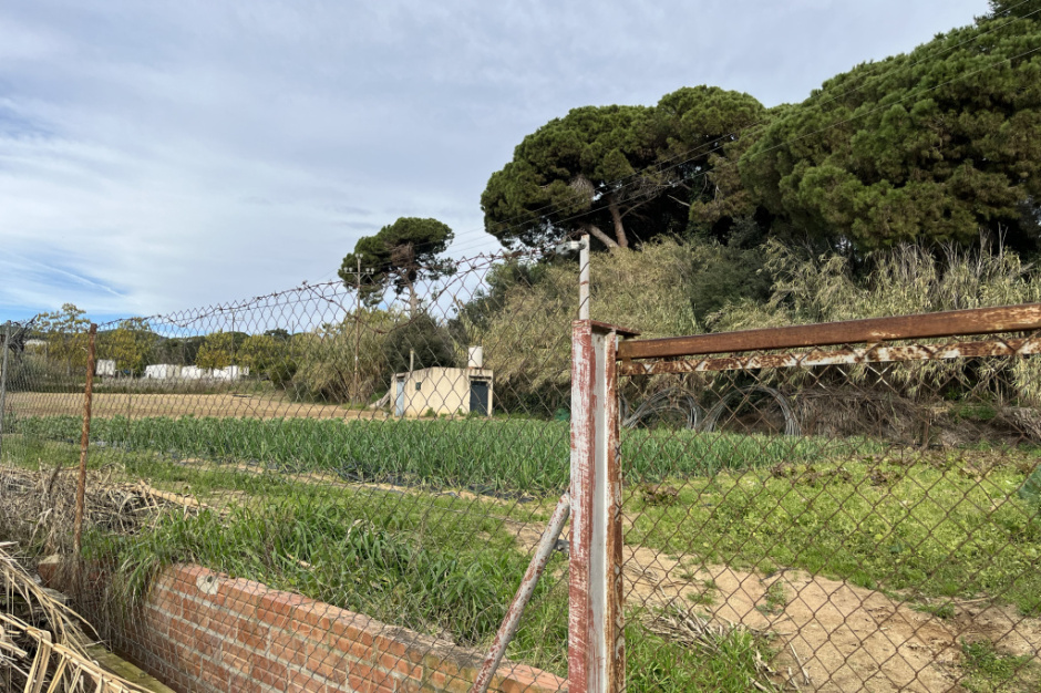 Fotografia: Ajuntament d'Arenys de Mar