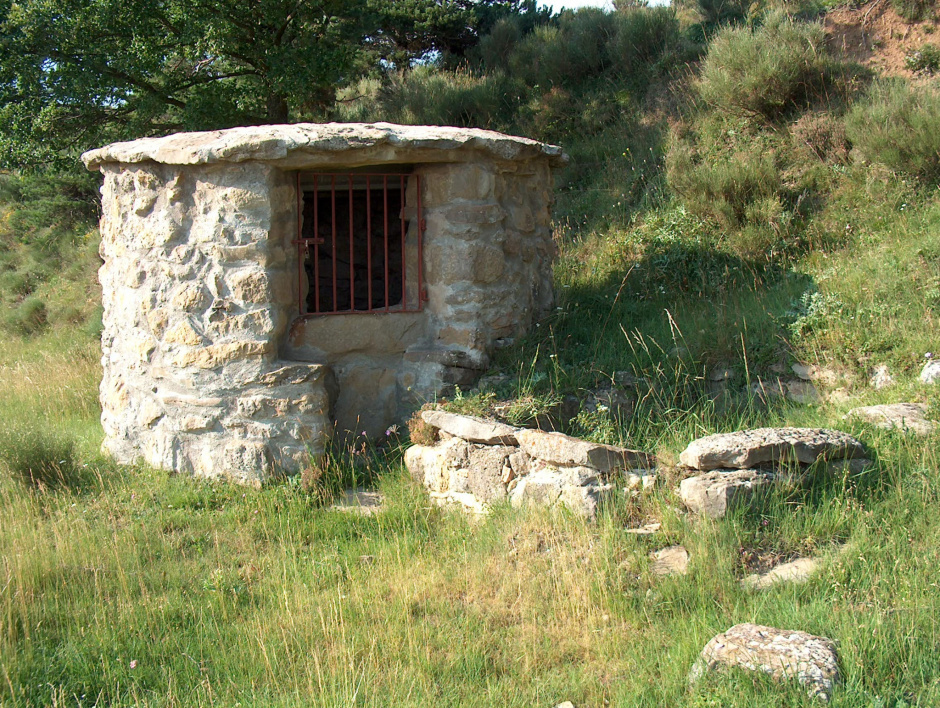 Pou del Puig 1 i l'estructura del safareig al 2004 (SAB, 2004).