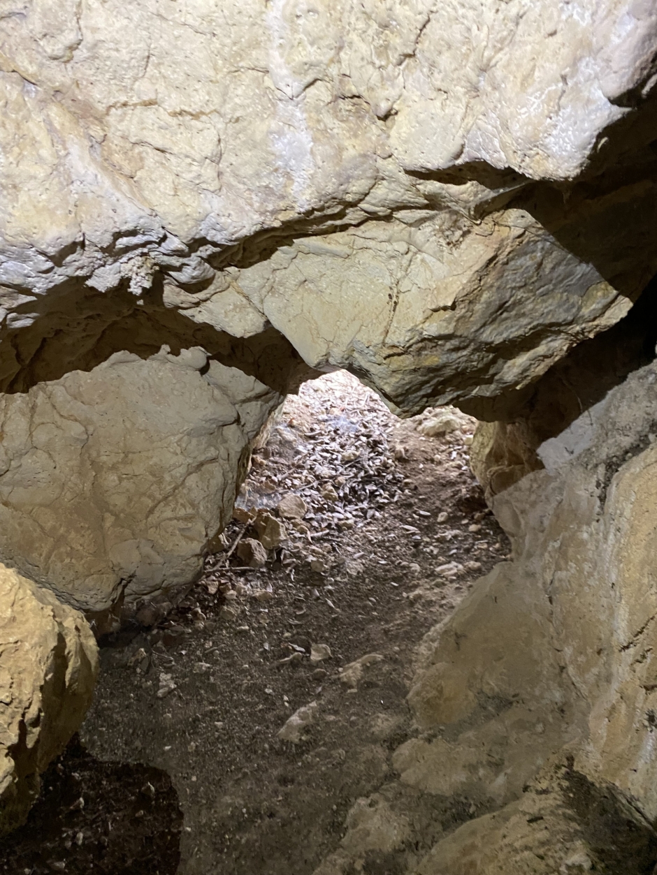 Entrada inferior de la cova des de dins (Rosa Soler Acedo, 2021).