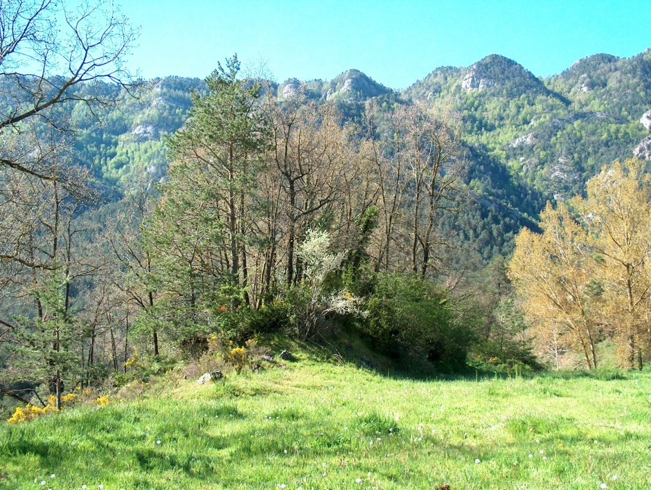 Zona on el localitzen les restes de Can Lleu (SAB, 2004).
