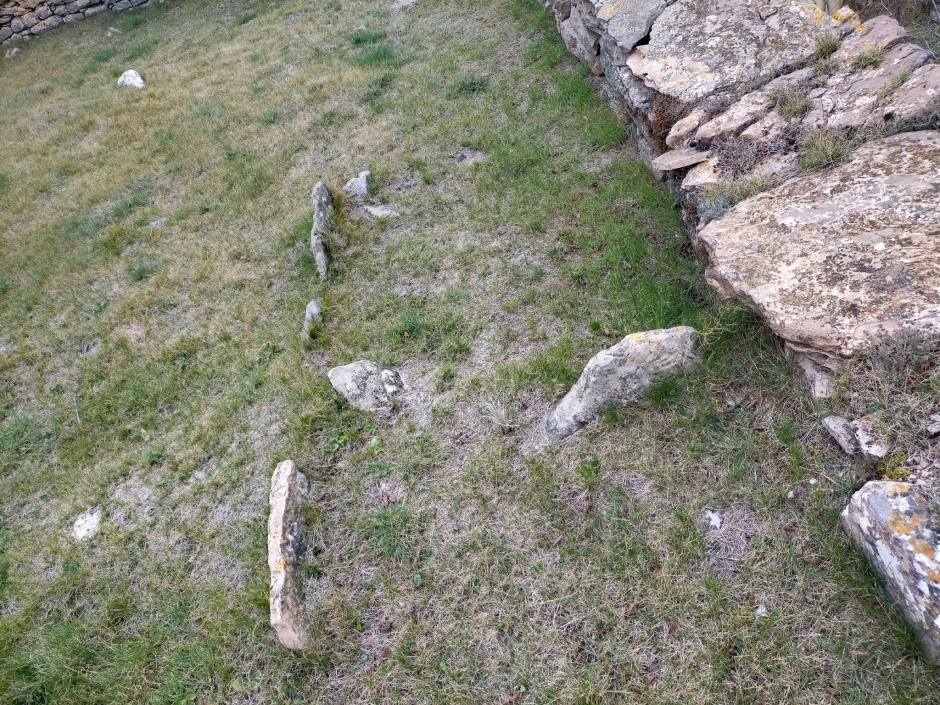 Restes visibles d'alguns dels enterraments en cista excavades