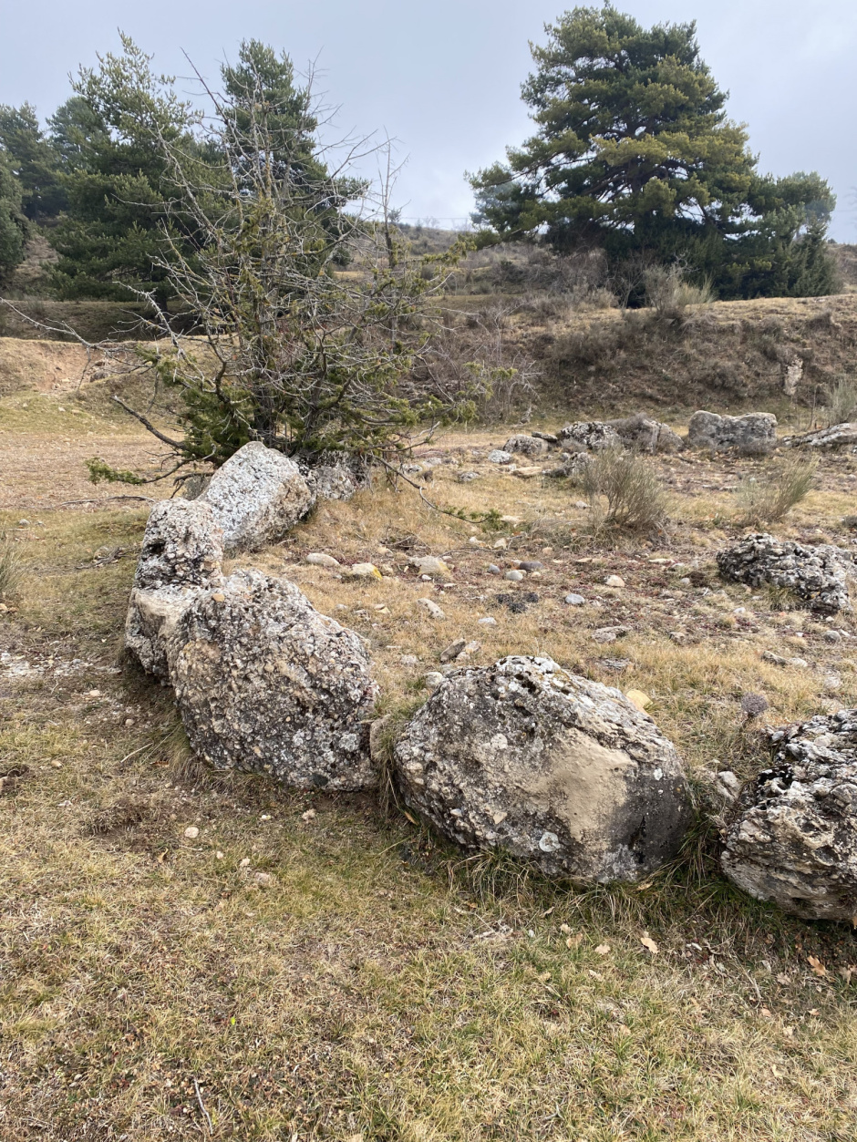 Detall de les pedres que formen el cèrcol (Rosa Soler Acedo, 2022).