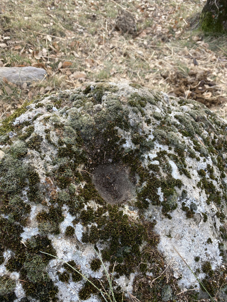 Detall del forat de la pedra treballada del Puig Torreta (Rosa Soler Acedo, 2022).