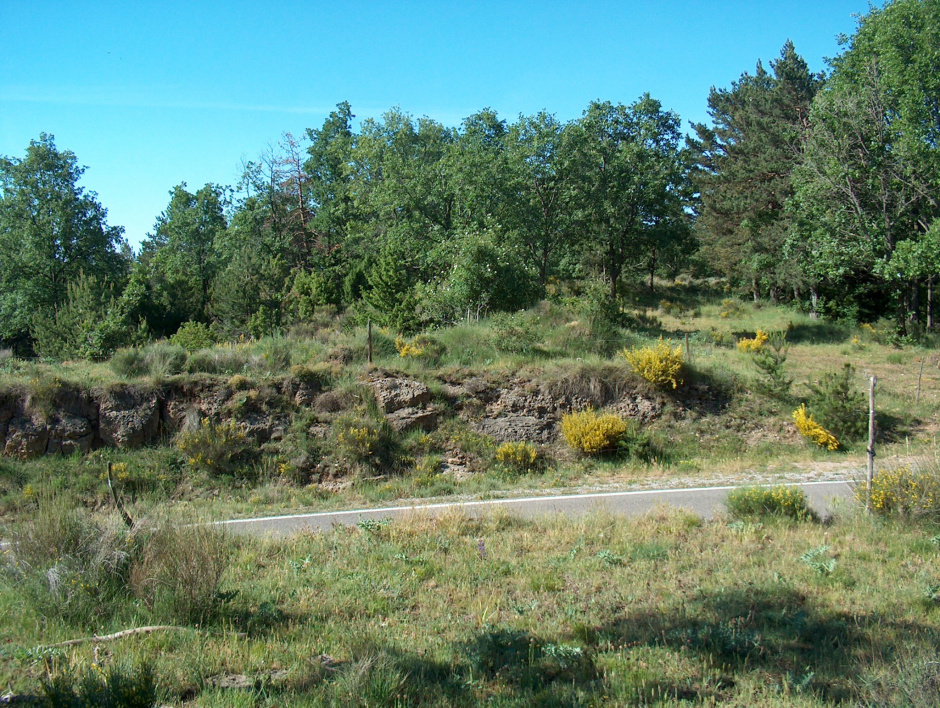 Localització de la possible necròpolis de Puig Torreta (SAB, 2004).