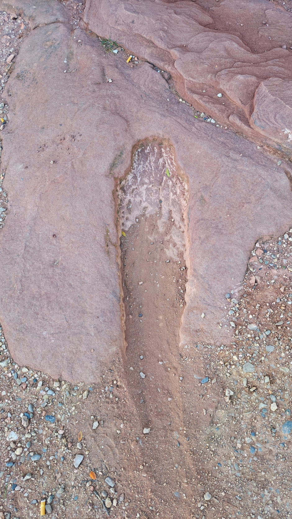 Toma lleugerament excavada. Foto: Juana María Huélamo-Kuanum