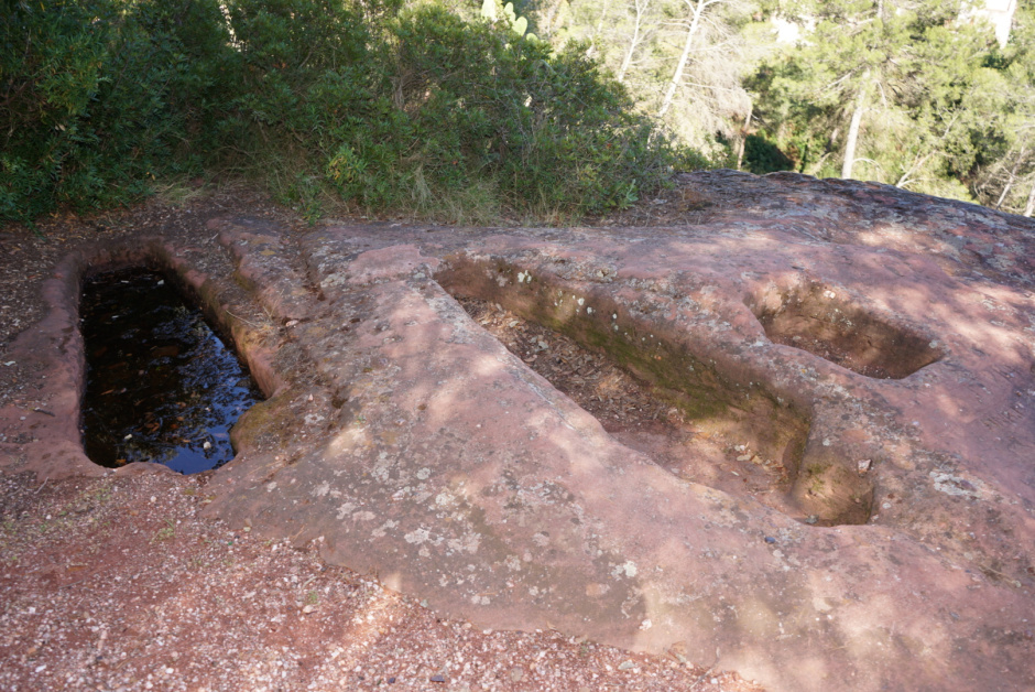 Conjunt de tombes. Foto: Fermín Fernández.