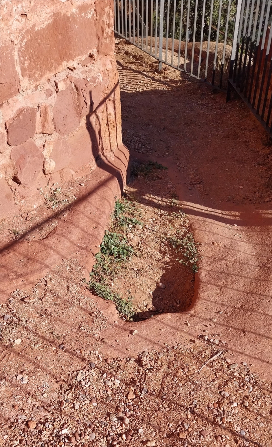 Tombes antropomorfes a tocar l'àbsis de l'església. Foto: Juana María Huélamo-Kuanum