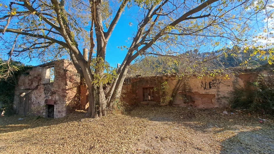 La vegetació i altres construccions són testimonis muts del passat del mas i la seva relació amb el molí. 