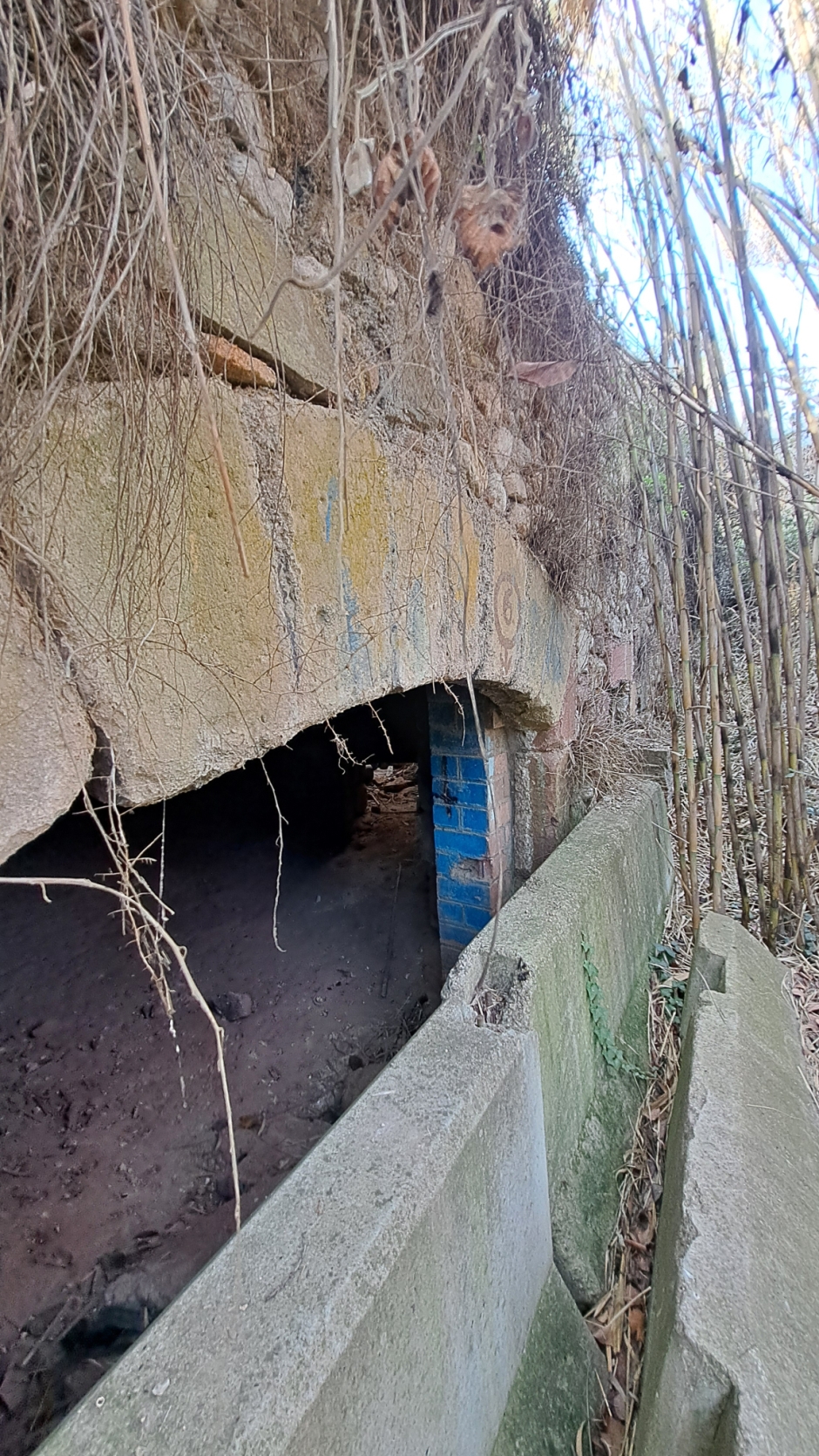 Detall de la porta d'accés a la nau. 