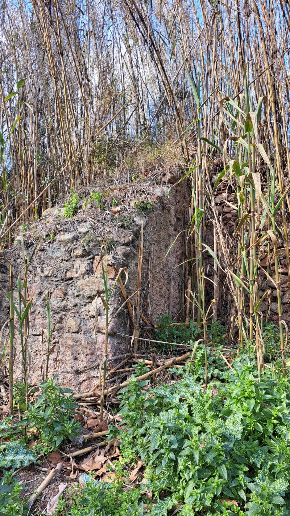 Vista del mur de pedres irregular i detall d'un dels contraforts. 