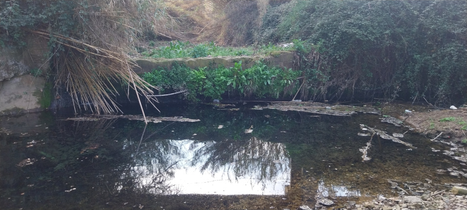 Bassa i rec a la dreta  de la riera de Cervelló. 