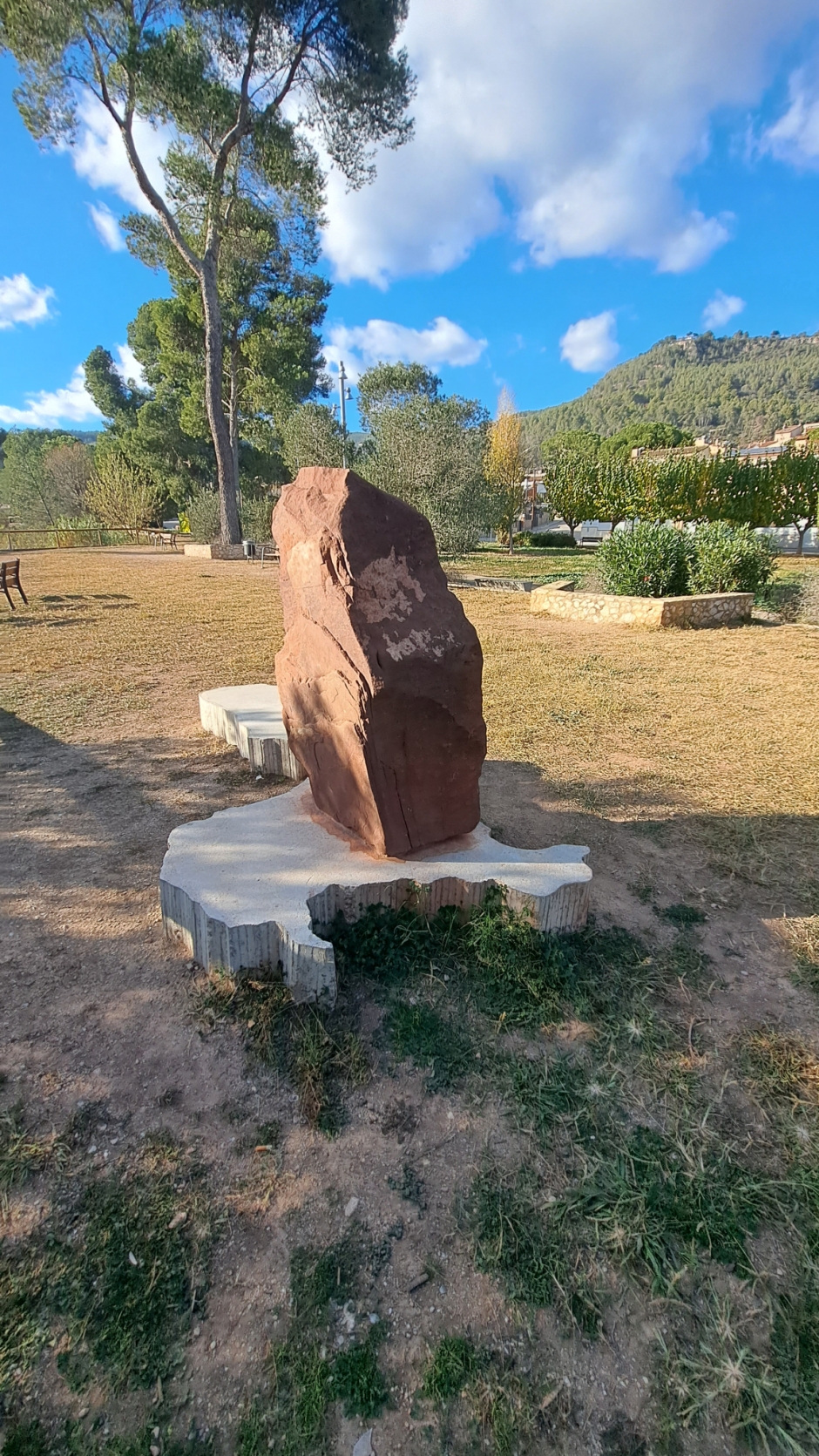 Vista lateral en el seu context físic. 