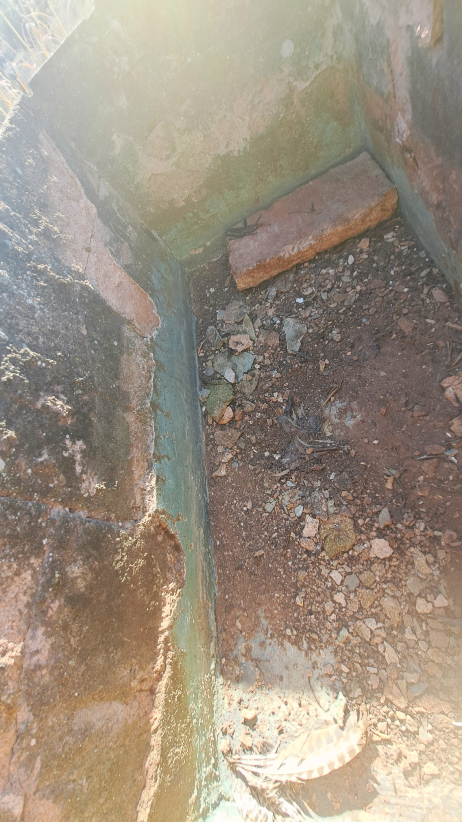 Detall de l'interior de la pica. 