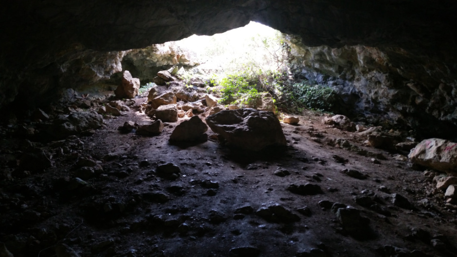 Gatera des de l'interior Foto: Fermín Fernández.
