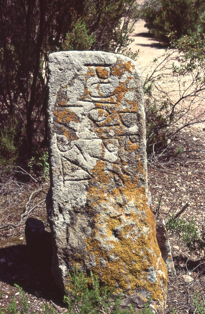 Vista frontal de la fita. Foto: Josep Llurba Rigol.