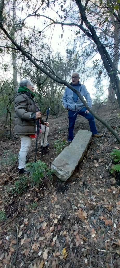Proporcions de la fita i la seva posició actual, per sota del camí.