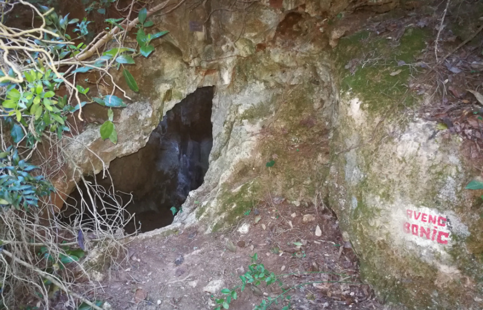 Entrada de l'avenc. Foto: Fermín Fernández