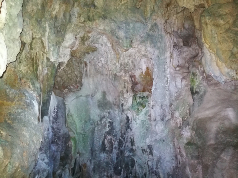 Formacions del interior. Foto: Fermín Fernández