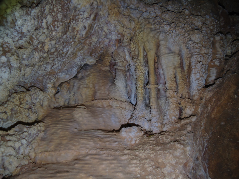 Estalactites i columnes. Foto: Campos et al., (2019)