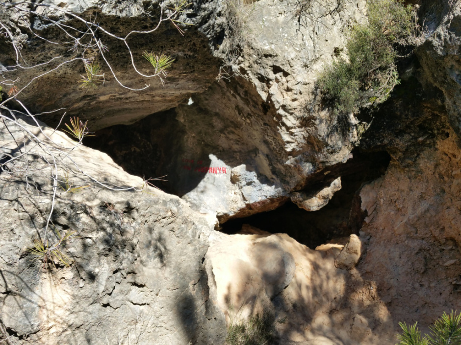 Entrada de la cova Foto: Fermín Fernández