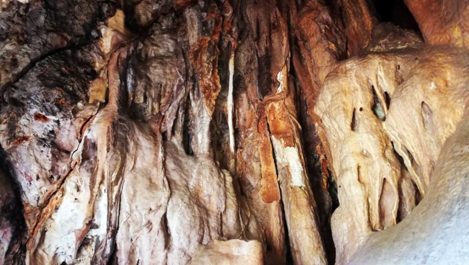 Formacions del interior. Foto: Fermín Fernández