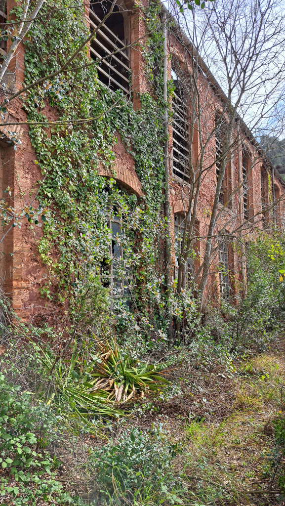 Façana principal. Detall de les finestres amb persianes de fusta de llibret dedicades a l'assecatge del cartró.