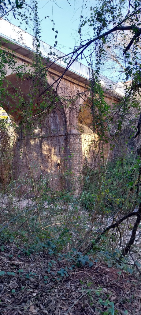 Vista general del pont