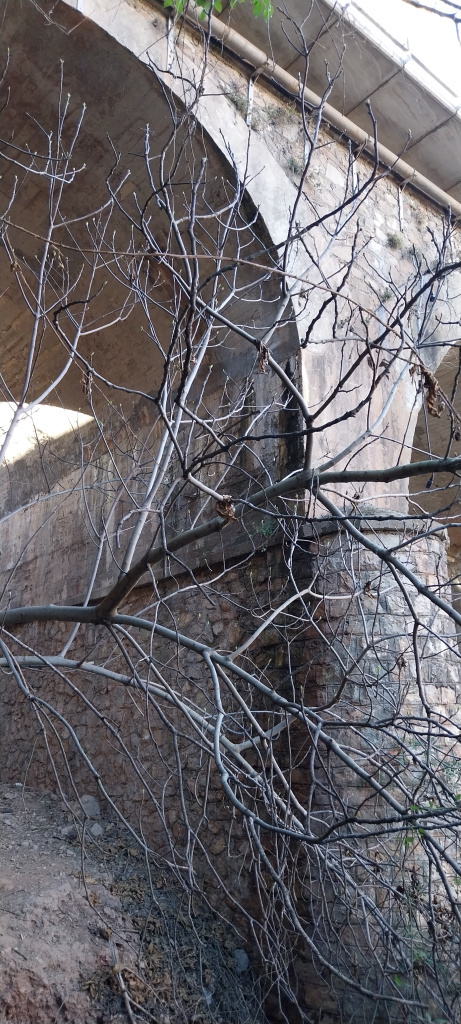 Detall de pilar i arc. Per sobra la vorera peatonal.