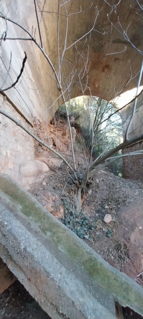 Detall de l'intradós de formigó d'un dels arcs.